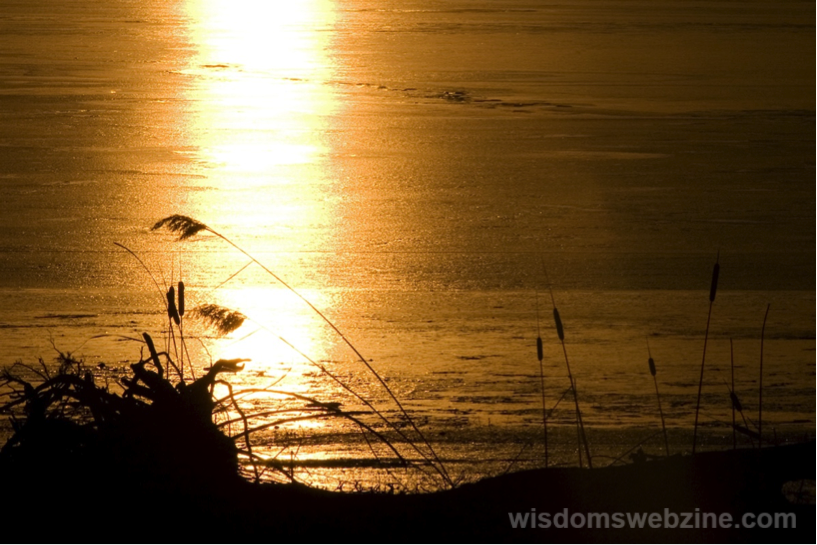 Winter’s Light