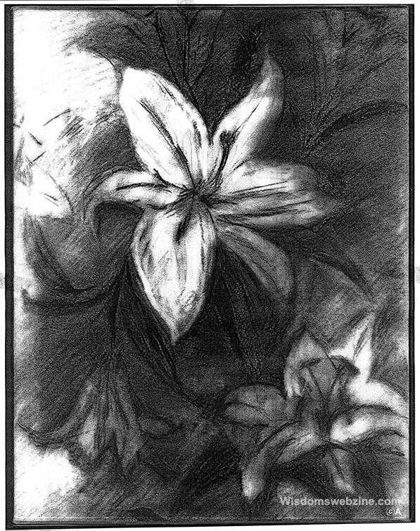 A’s Drawing