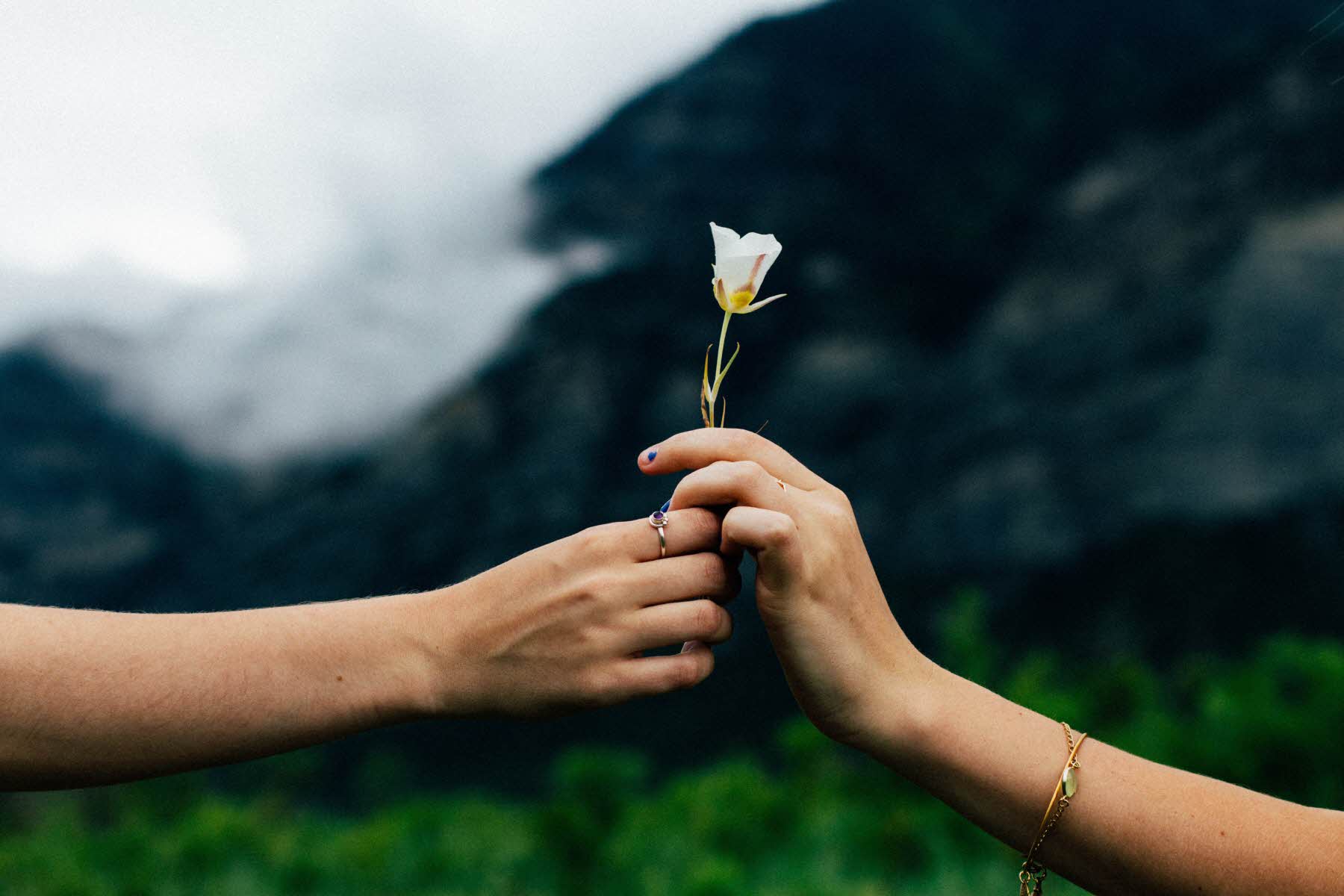About The Dignity Of Sharing